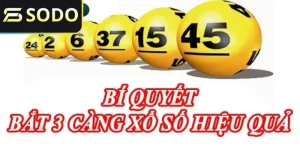 Tìm hiểu cách đánh, luật chơi về dàn đề 3 càng